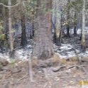 2012-Mar-03HGR4X4Richloam 143
